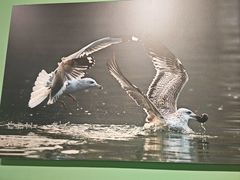 -中国湿地博物馆