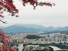 -风云岭森林公园