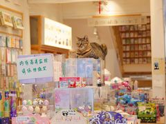 -猫的天空之城概念书店(杭州南宋御街店)