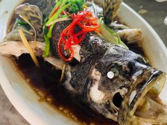 石斑鱼清蒸-四川小胡子海鲜(丁村万人海鲜广场店)