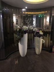 -京世沙龙