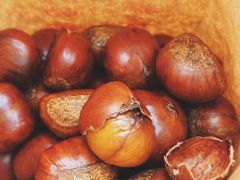 -秋栗香(地安门店)