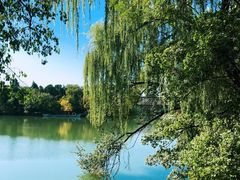 -北京大学赛克勒考古与艺术博物馆
