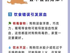 -守诺宠物医院·眼科· 神经外科·爬宠专科(虹口店)