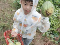 -爱睿思儿童早教亲子游泳(万象城店)