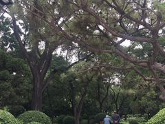 -迎泽公园