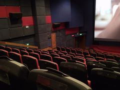 -飞扬影城(正佳IMAX店)