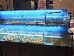 -太湖饭店玉兰厅(自助餐厅)