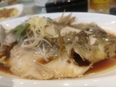清蒸鲈鱼-双井轩(双井店)