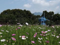 -广州市流溪河国家森林公园