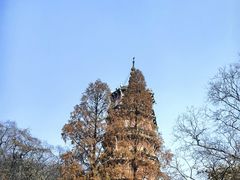 -宝通禅寺