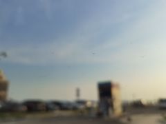 -皮口港