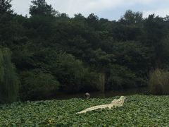 -天目湖山水园