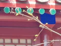 -北京鲁迅博物馆(北京新文化运动纪念馆鲁博馆区)