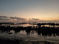 -硇洲岛旅游区