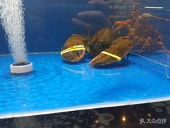 -N多寿司(恒隆店)
