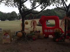 -广州雕塑公园
