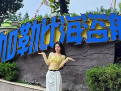 -南京银杏湖乐园