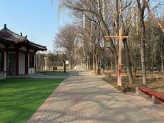 -洛阳市隋唐城遗址植物园