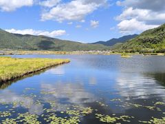 -腾冲北海湿地