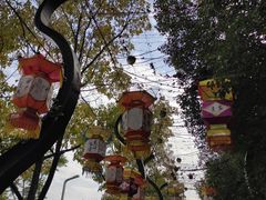 -武汉园博园(武汉自然博物馆)