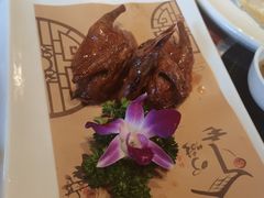 -顺德了能馆(虎门店)