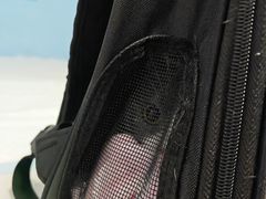 -瑞派福兴宠物医院犬猫全科·骨科·中西医结合(河东店)