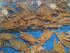 -北塘海鲜·天津菜(大光明桥旗舰店)