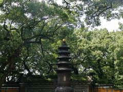 -普陀山风景名胜区-法雨禅寺