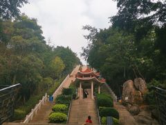-青礁慈济宫