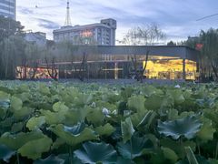 -莲湖公园