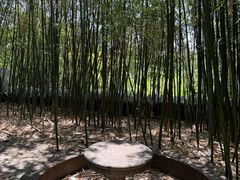 -泰山风景名胜区-普照寺