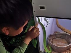 -昆明大悦城未来动物城(螺蛳湾中心店)