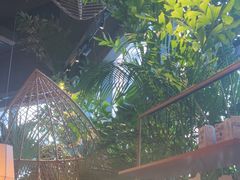 -大头椰·椰子鸡火锅(南宁万象城店)