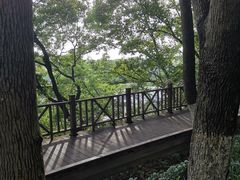 -上海市保健医疗中心