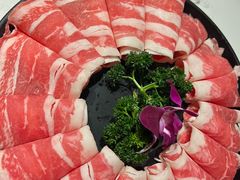 -鼎膳常火锅(华阳店)