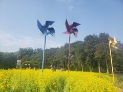 -雀儿山公园