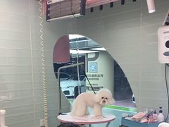 -FAELING PETS美天灵宠物(合生汇店)