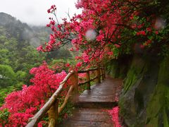 -木兰云雾山