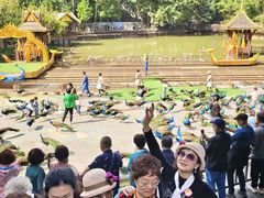 -西双版纳原始森林公园