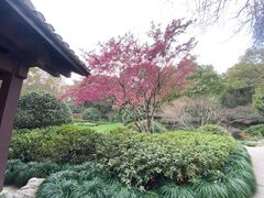 -杭州植物园