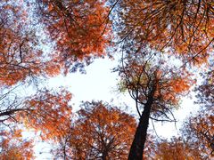 -华南国家植物园-售票处