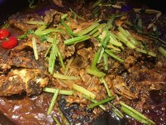 -老板恋上鱼(恒隆广场店)