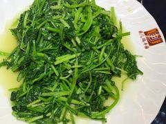 芝麻菜炒豆腐-瑞丰园庭院餐厅·白族传统家常菜