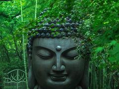 -杭州植物园