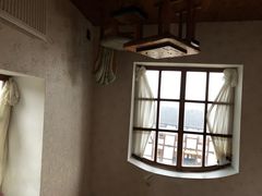 -金山农民画村-枫泾波兰倒置屋
