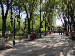 -文瀛公园