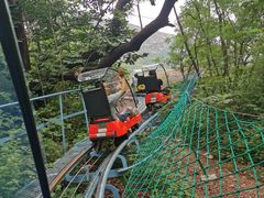 -黄金寨原生态旅游区