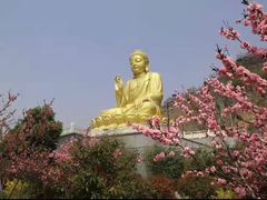-大伊山景区