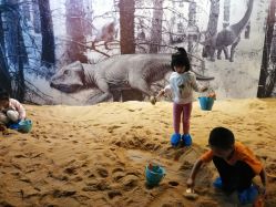 -恐龙探索乐园(磁器口店)